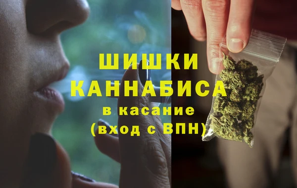 стаф Богородицк