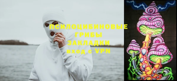 стаф Богородицк