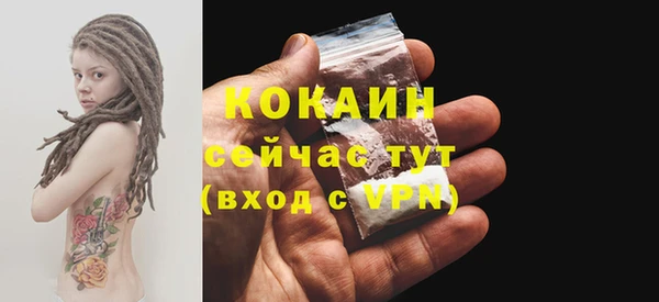 стаф Богородицк