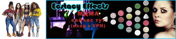стаф Богородицк