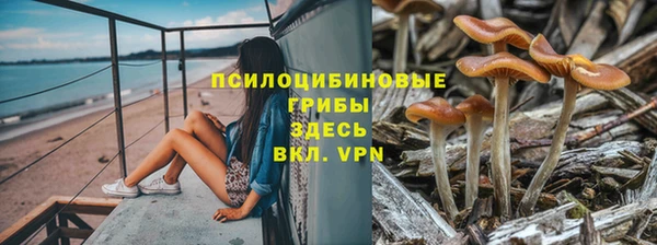 стаф Богородицк