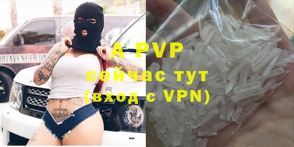 стаф Богородицк